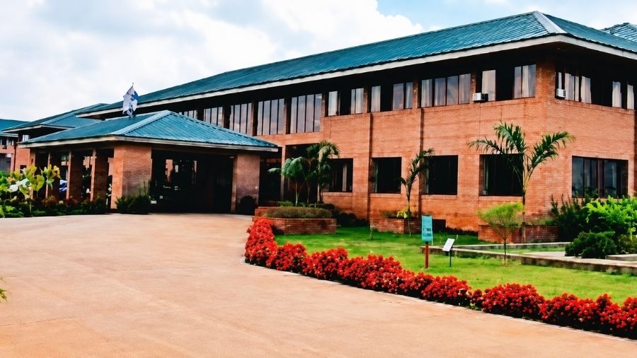 The Cathedral Vidya School