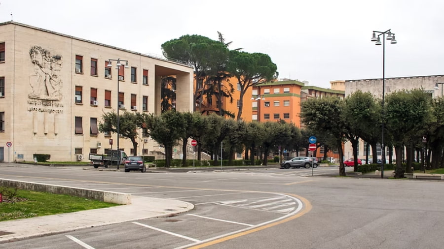 Sorsfort International School