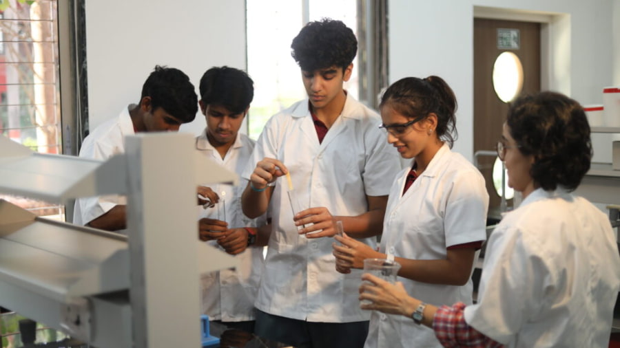 Corvuss American Academy