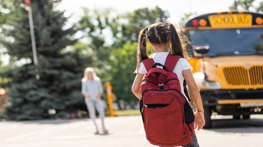 Day Schools Setting the Standard (Including Top ten schools in India CBSE options)